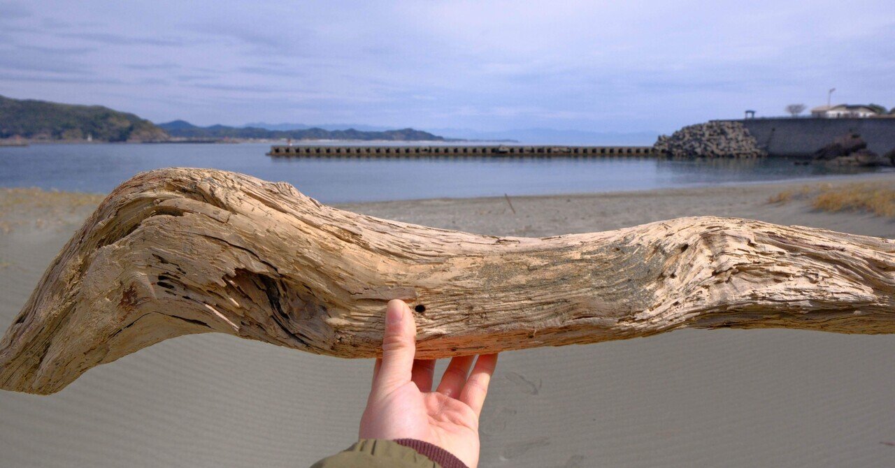 流木さがし🪵｜キリ