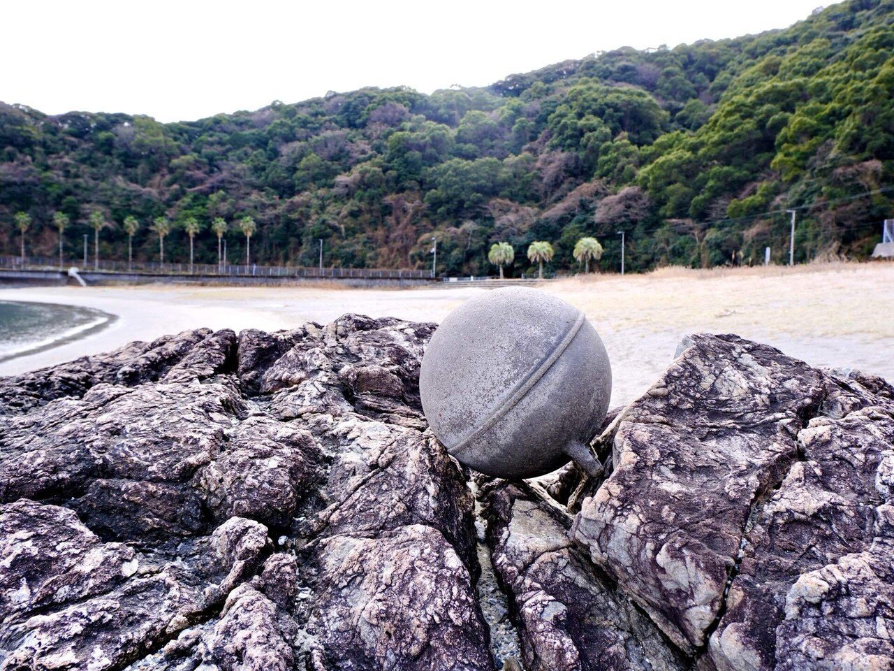 流木さがし🪵｜キリ