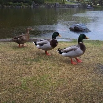 笑門かも