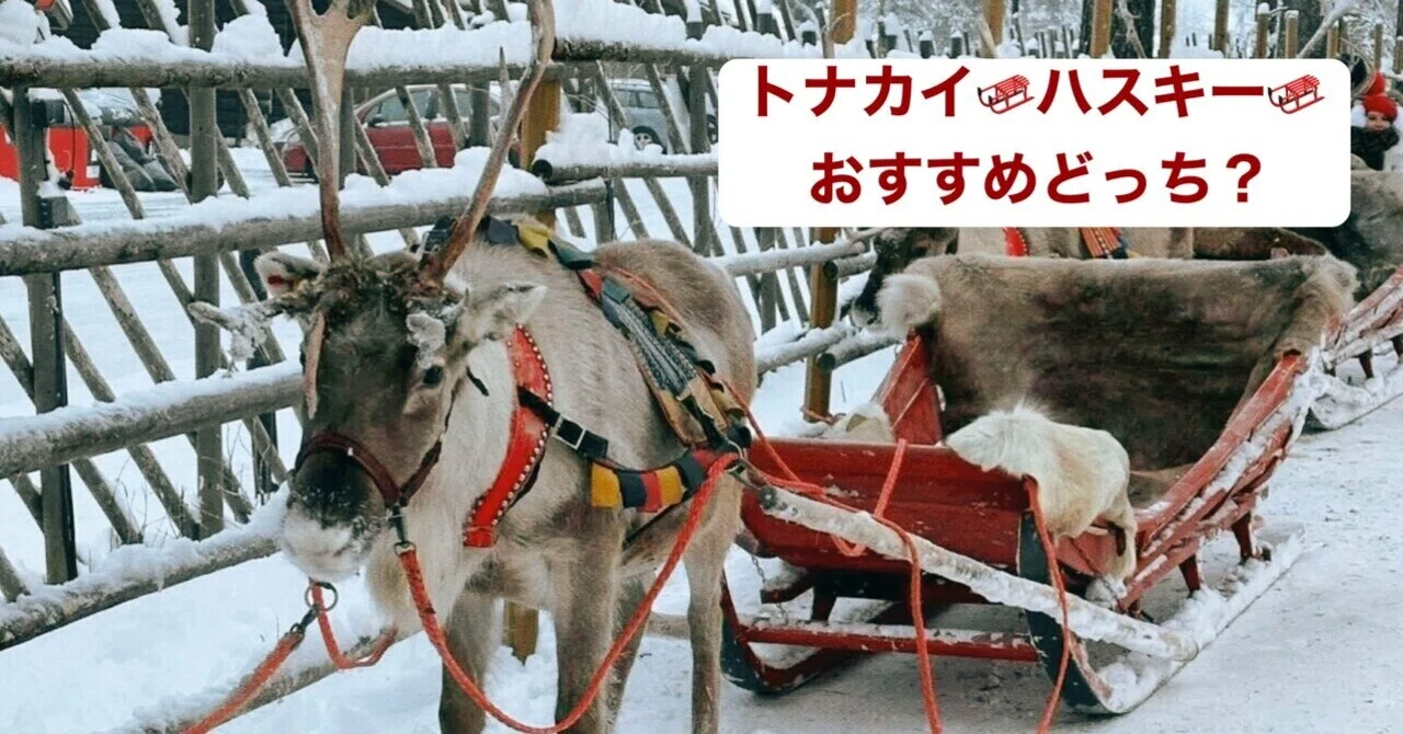 kenzouです 雪そり、冬ソリ、犬ぞり、ポニーそり、昭和レトロ荷物そり フィンランド】犬ぞりvsトナカイぞり | どっちに乗るべき？失敗しない