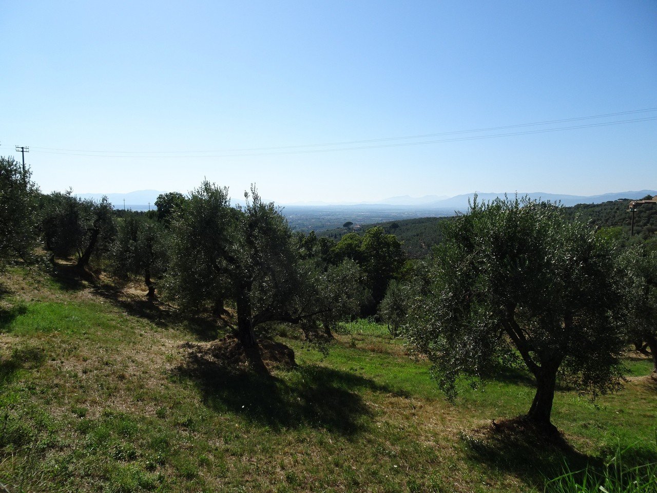 イタリア紀行13～フィレンツェからヴィンチ村へ3（ダヴィンチの生家へ