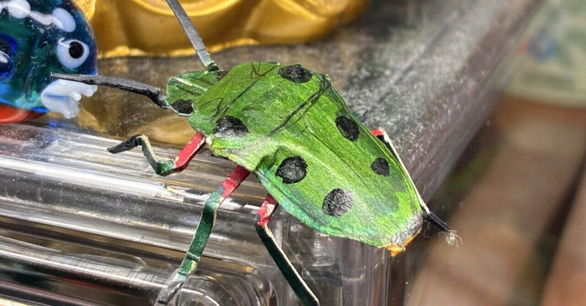 [Paper Shield Bugs #73] Philia miyakonus｜ふぇふぇ