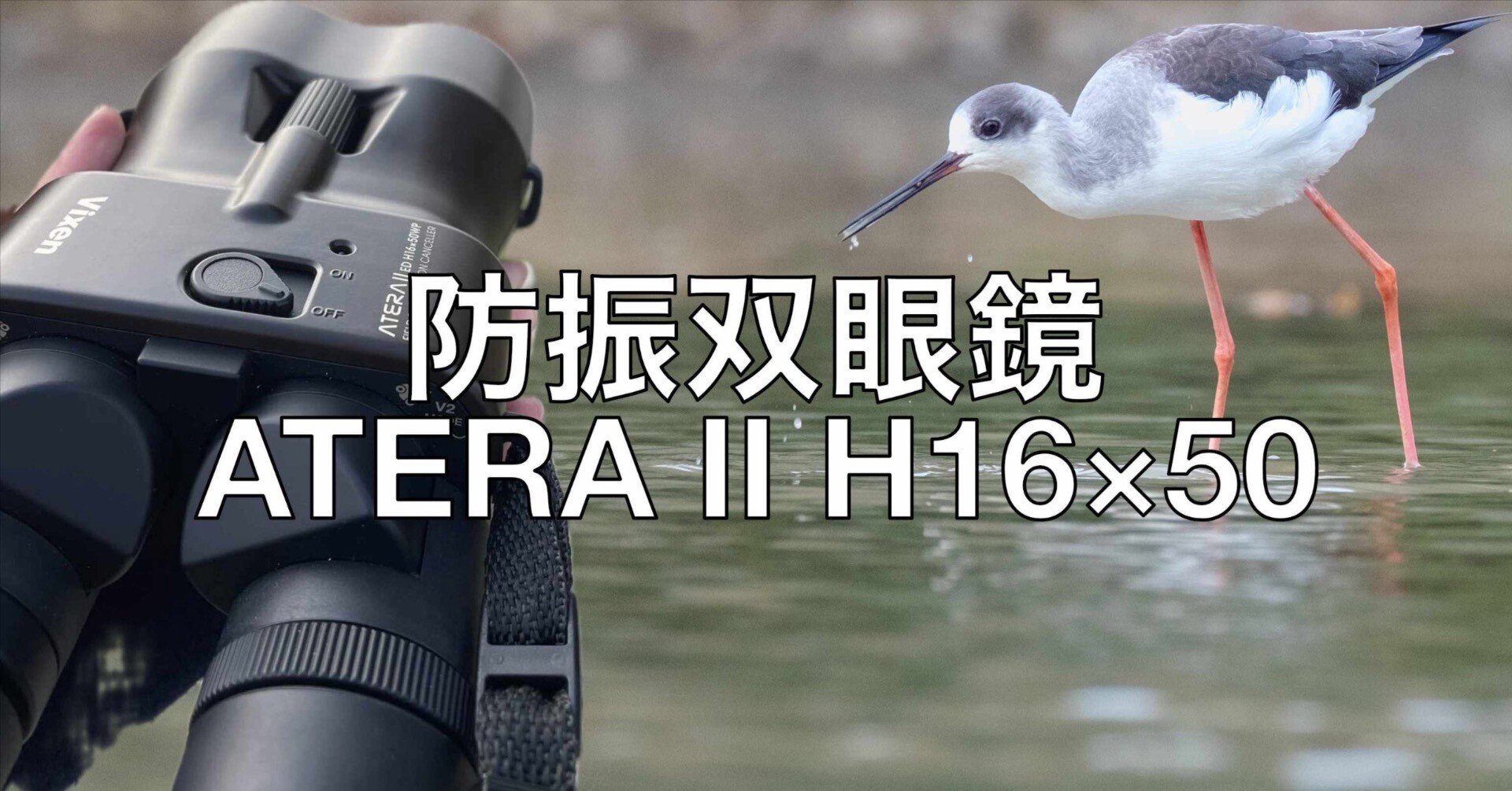 Vixen ATERA II H16×50｜16倍の常識を覆す広視界と防振性能。猛禽類