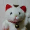 晴やっこ