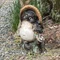 かわさんぽ