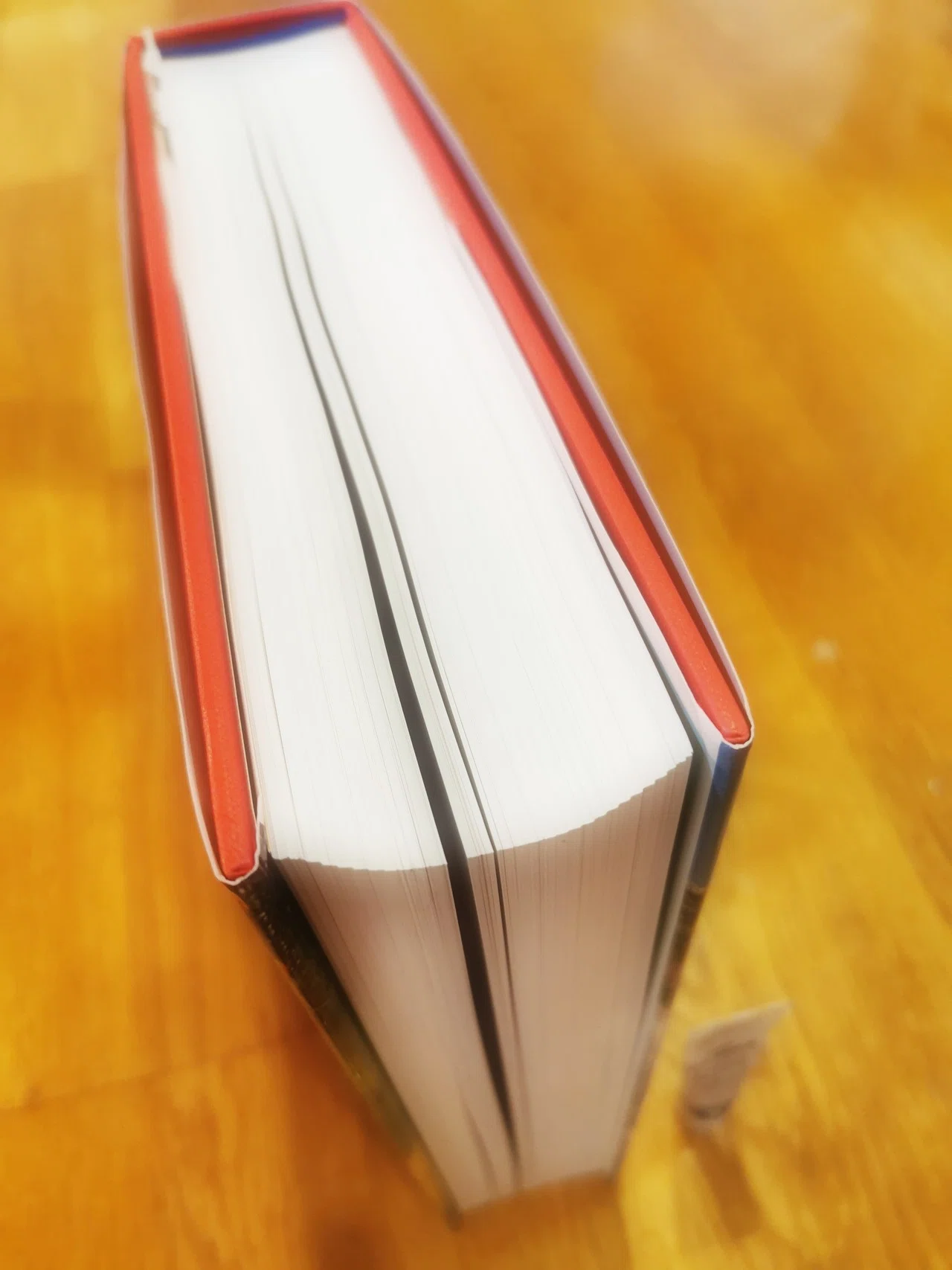 ART SINCE 1900 読書メモ（要素の抽出と感想）_0_はじめに｜chizuko