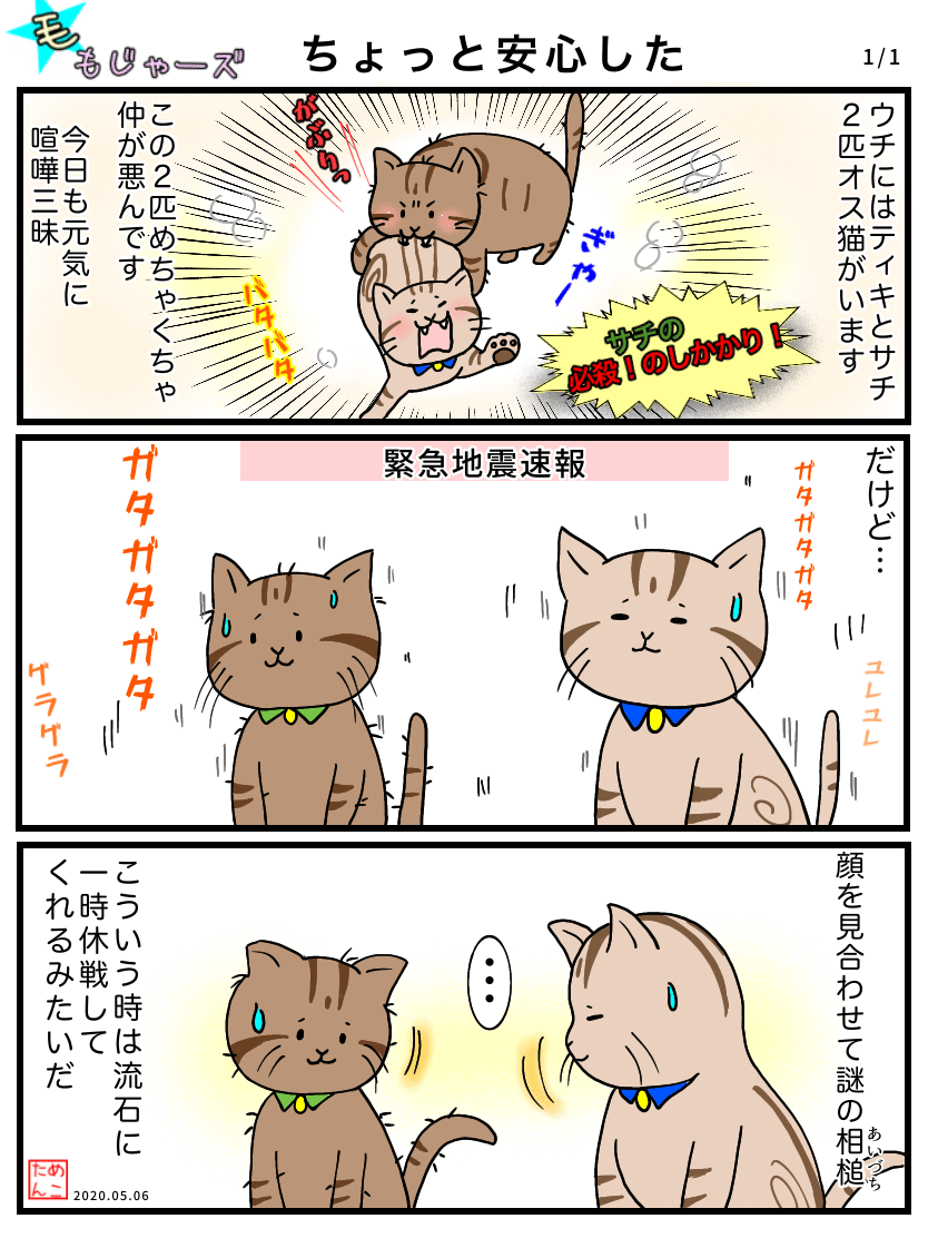 ちょっと安心した めこたん 漫画 イラスト Note ちょっと安心した めこたん 漫画 イラスト Note