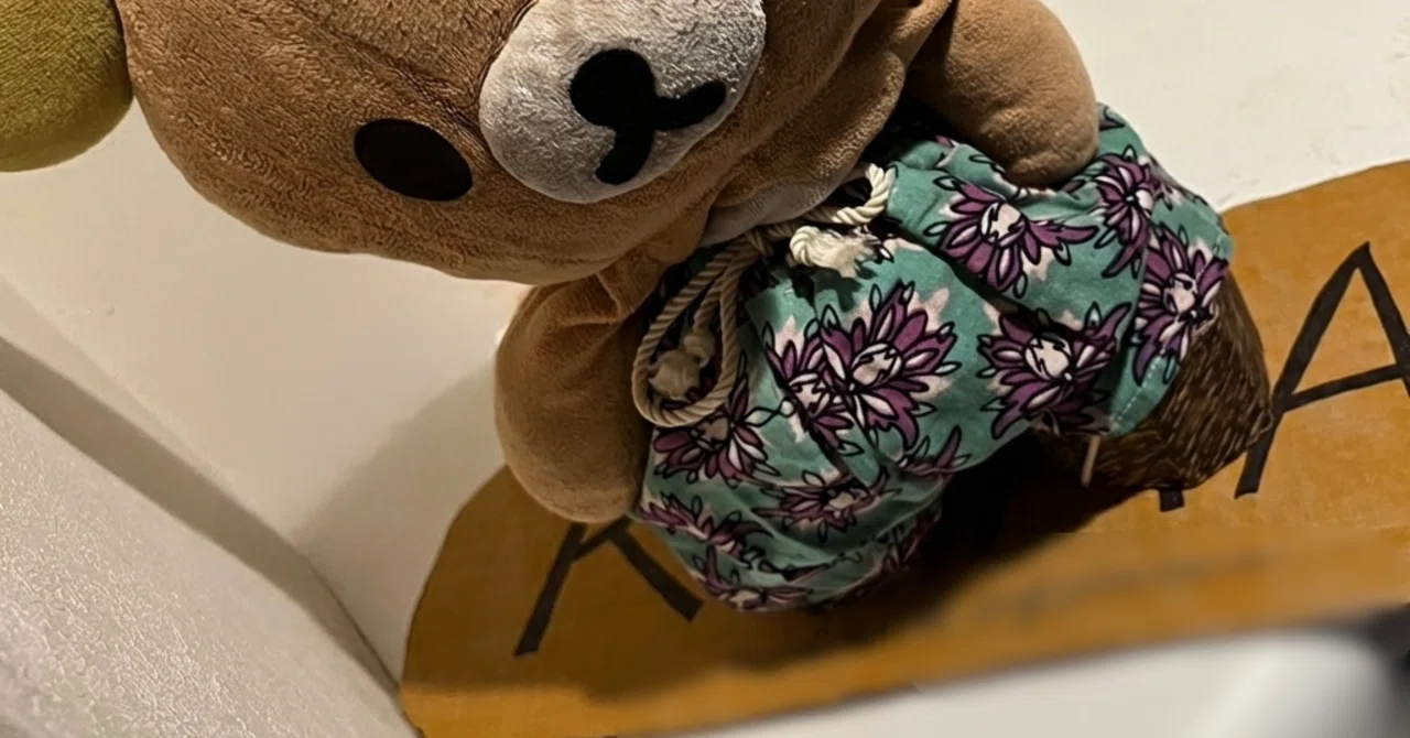 It's the Olympics, so I want to go snowboarding with my plushie