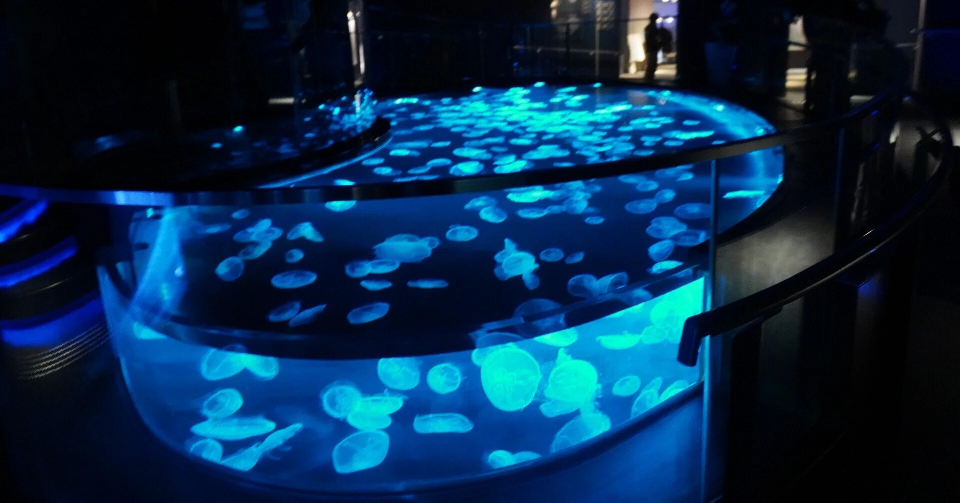 すみだ水族館】0歳児とベビーカーで「ムリなく楽しむ」ためのコツと実