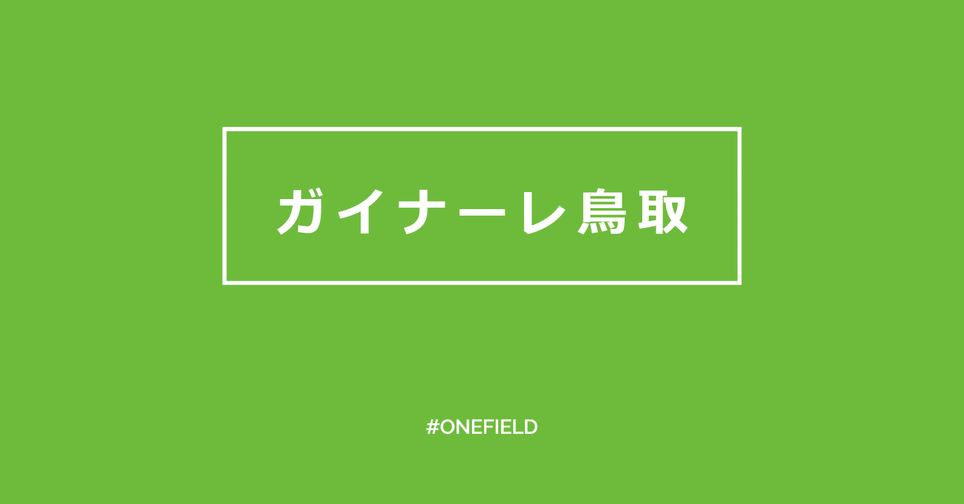 ガイナーレ鳥取 ガイナーレクイズ One Field Note