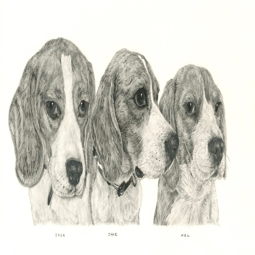 今週は犬】 This Week, a Dog 2026/2/6｜山田貴裕