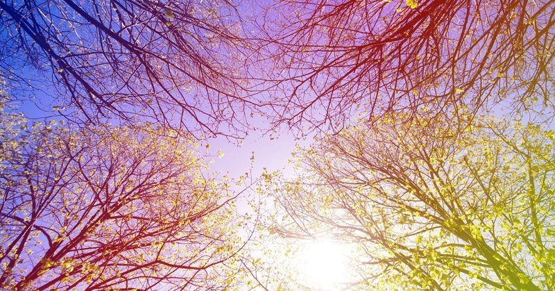 新しいセッションのご案内【2026春】