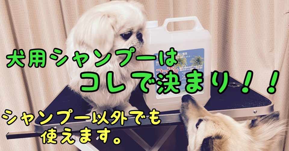 シャンプーじゃないのにシャンプー 犬のシャンプーはこれで決まり 最強のシャンプー徹底解説 ドッグライフサポーター 獅子パパ Note
