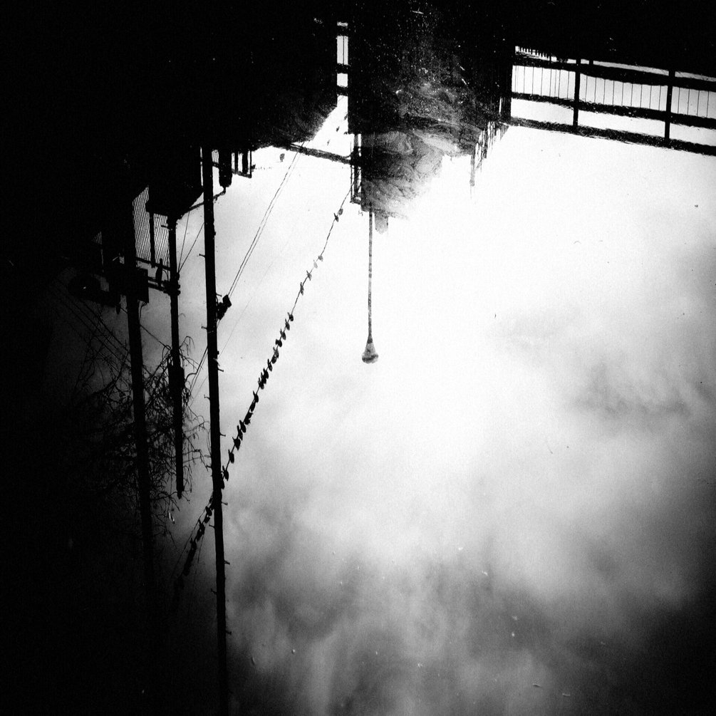 鳥の詩。(Planar 1.8/32 + FUJIFILM X-T3)｜篠山吉信(きっちん篠山