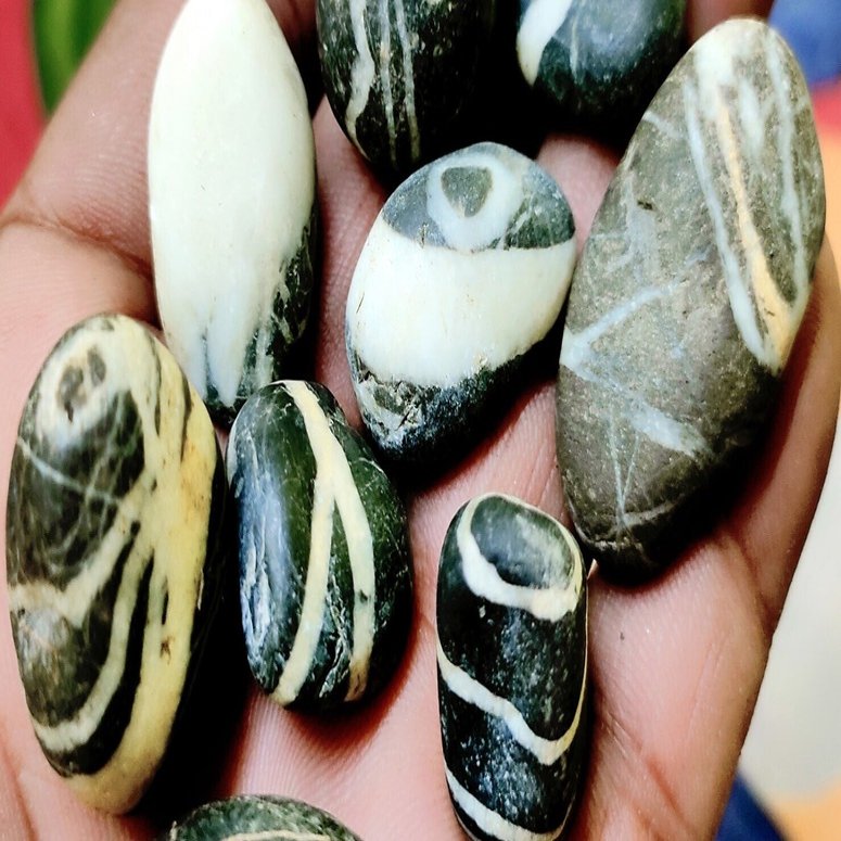 石が記憶する / ラダック高寒冷砂漠をめぐる鉱物の旅｜LIFE on the