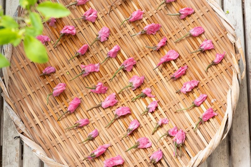 桜の花の塩漬けってホントいい香り Ozawa Eiko Note 桜の花の塩漬けってホントいい香り Ozawa Eiko Note