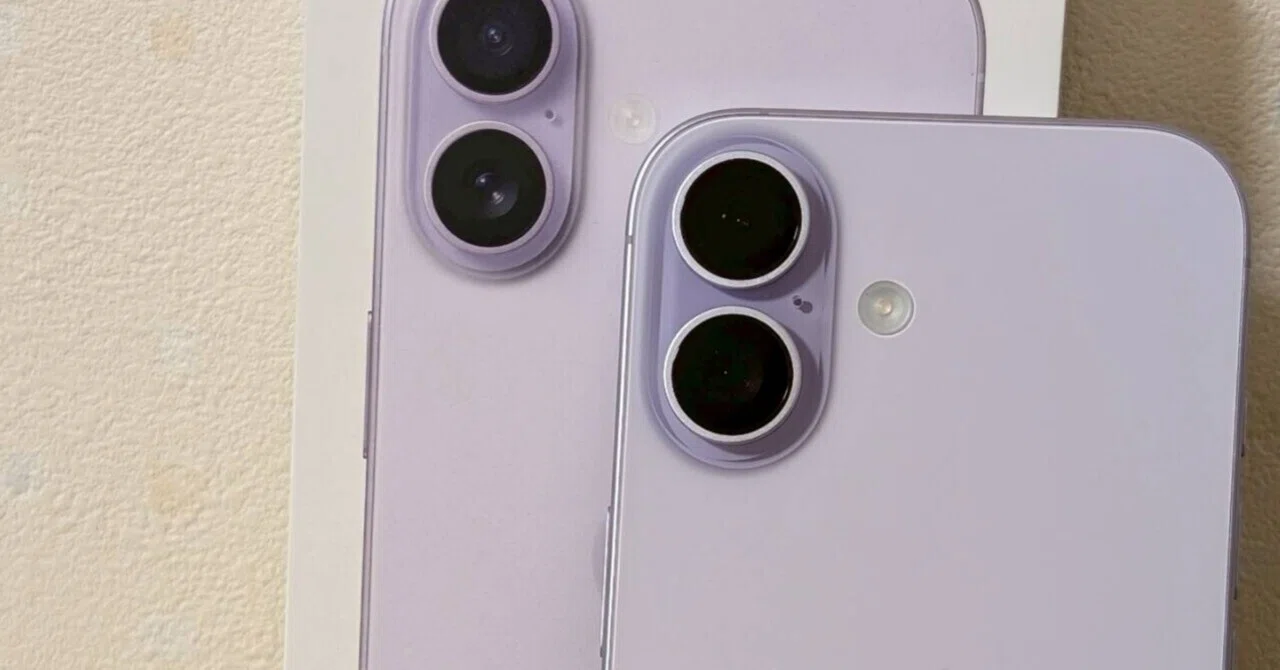 半年レビュー】iPhone 17 vs Pro Max 両方持ちの結論。「99%の人は無印 