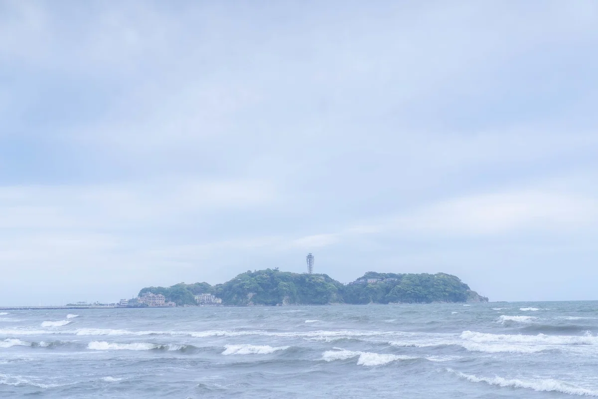 画像5