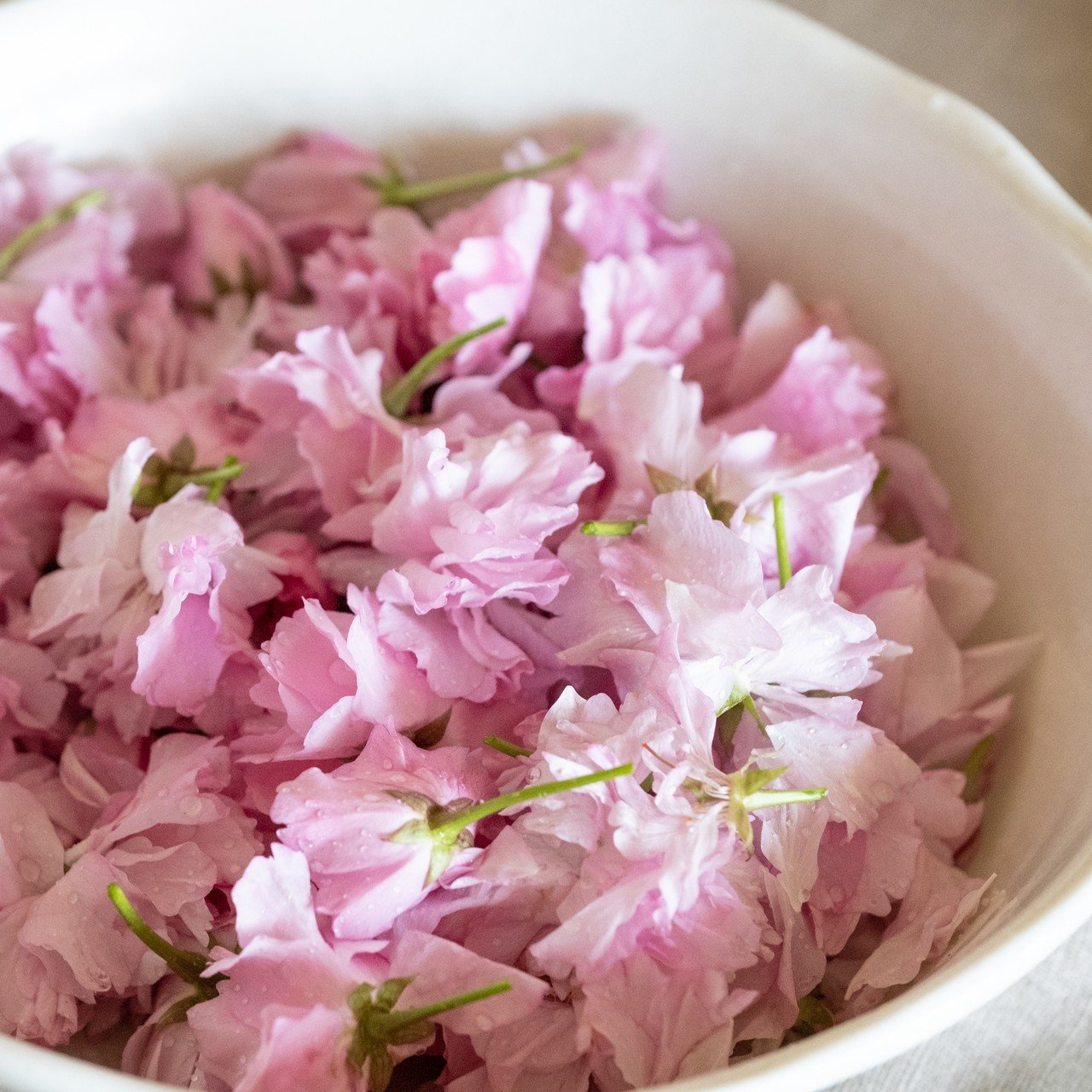 桜の花の塩漬けってホントいい香り Ozawa Eiko Note