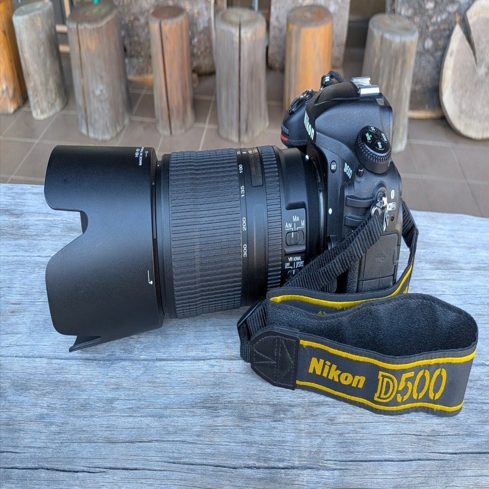 機材レビュー #01] AF-P NIKKOR 70-300mm f/4.5-5.6E ED VRって野鳥に