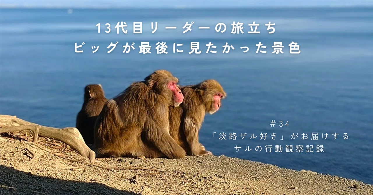 34「最後まで勇敢なリーダーでした」リーダー・ビッグの旅立ち｜sora.11