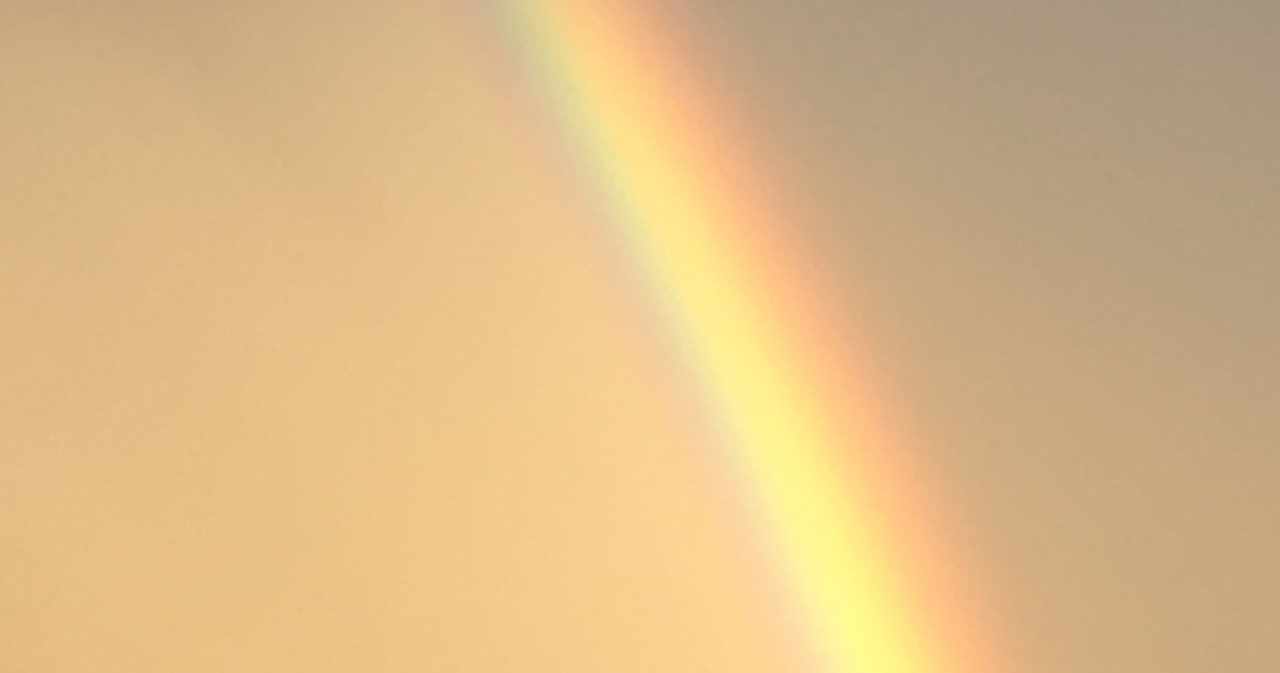 マダムレインボウ Note