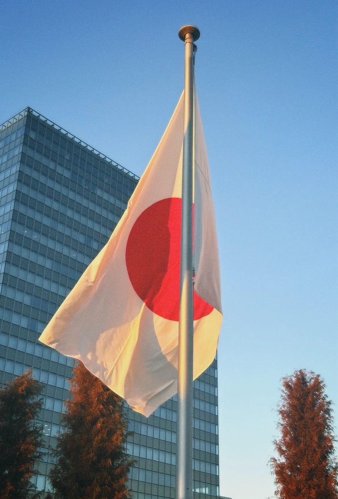 デンマーク人の国旗が大好きな姿に思うこと｜Hanon Nozoe| 野添葉音