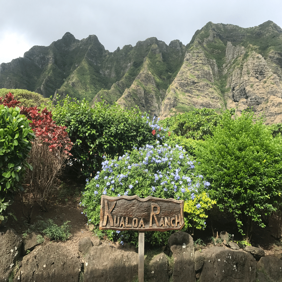 ハワイ旅行記 ジュラシックパークロケ地に行ってみた あゆぼー Note