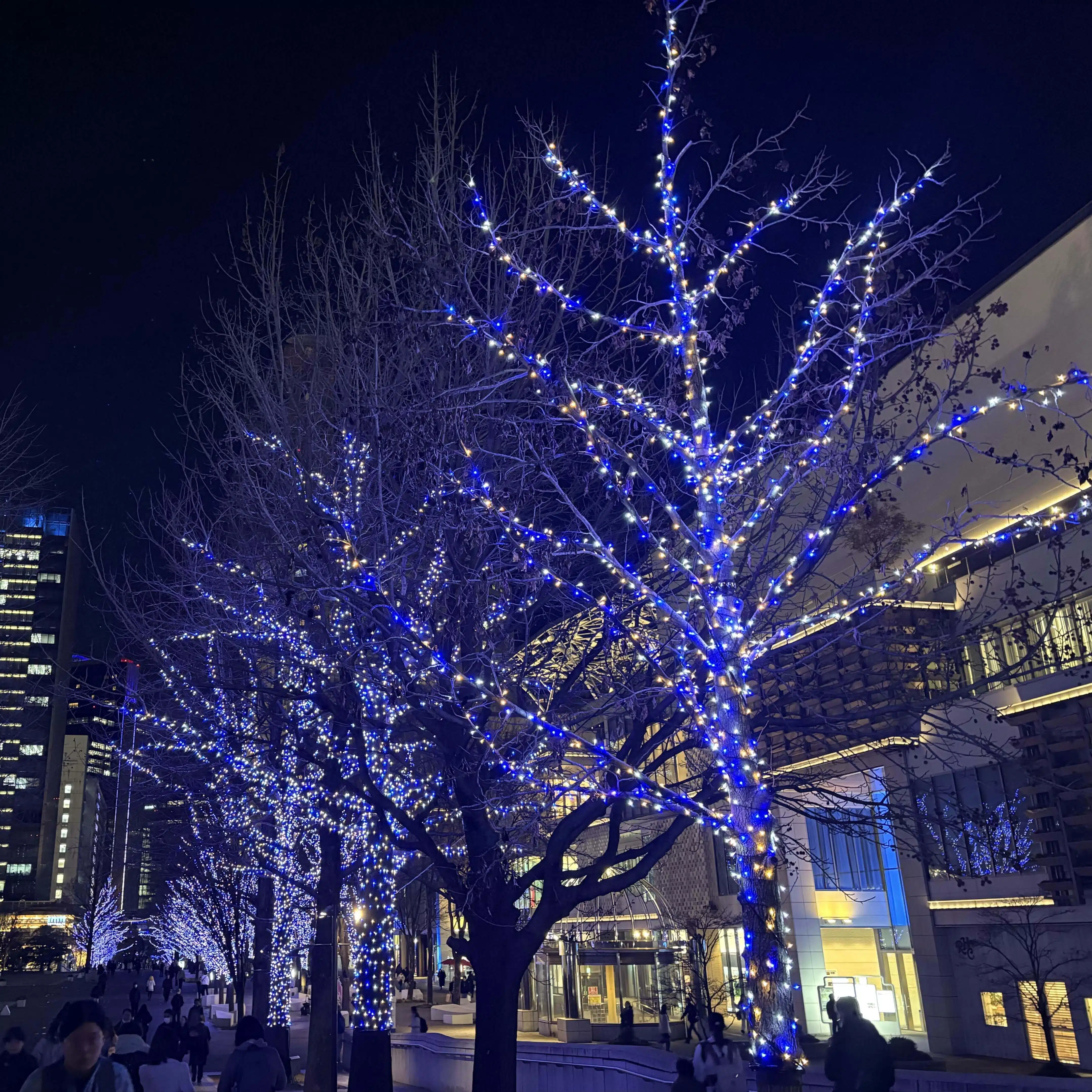 深雪