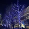 深雪