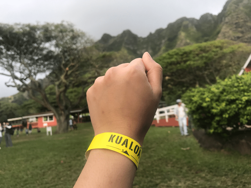 ハワイ旅行記 ジュラシックパークロケ地に行ってみた あゆぼー Note ハワイ旅行記 ジュラシックパークロケ地に行ってみた あゆぼー Note