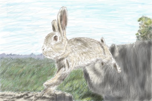 リアル系イラスト ウサギ Angelrabbits Note