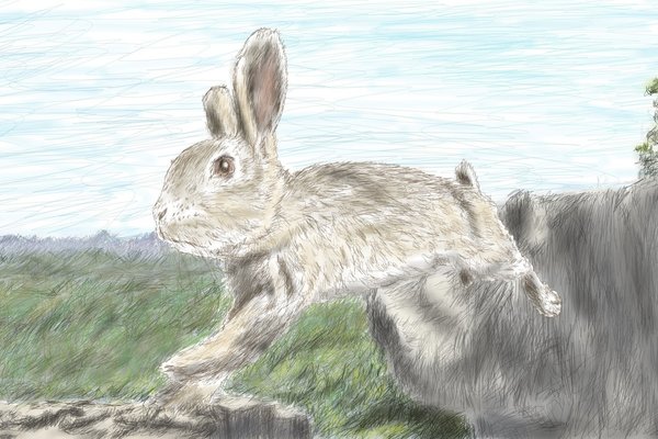 リアル系イラスト ウサギ Angelrabbits Note リアル系イラスト ウサギ Angelrabbits Note