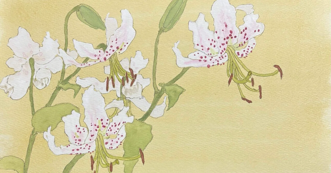 花｜nemnem4646