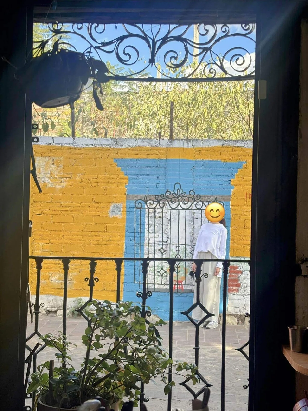 オアハカ🇲🇽ハラトラコ｜アラフォーが壁画の前で撮影とポージングを