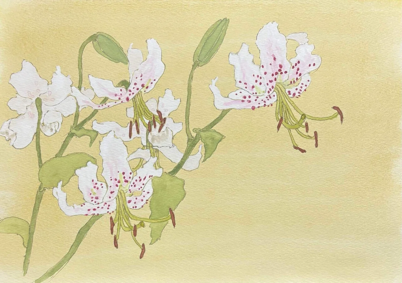 花｜nemnem4646