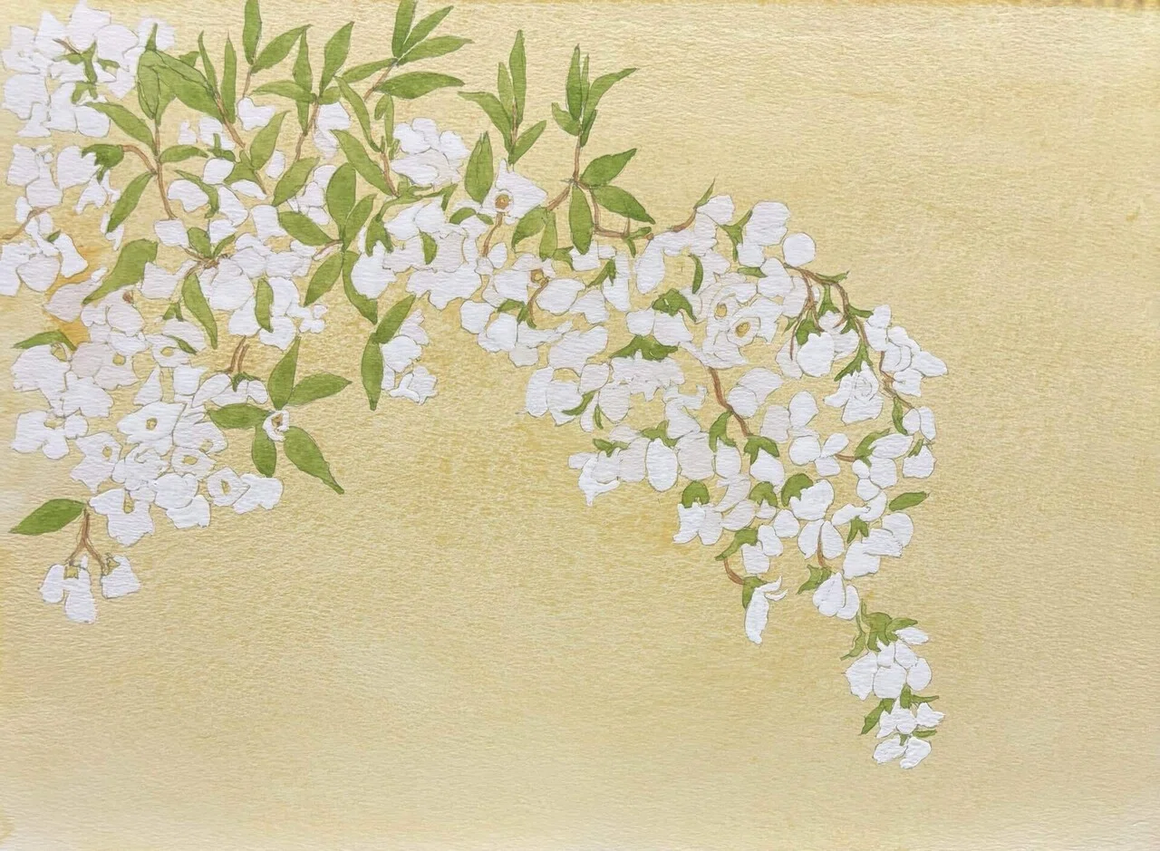 花｜nemnem4646