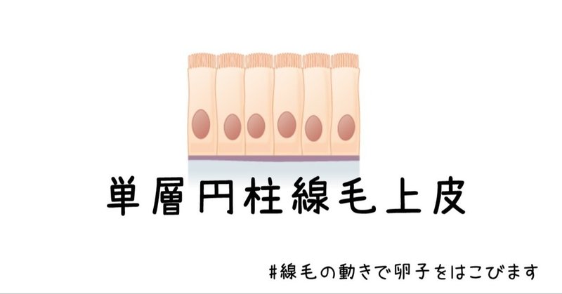 円柱の絵の描き方 初心者でも簡単なイラスト Realdrawing Note 円柱の絵の描き方 初心者でも簡単なイラスト Realdrawing Note