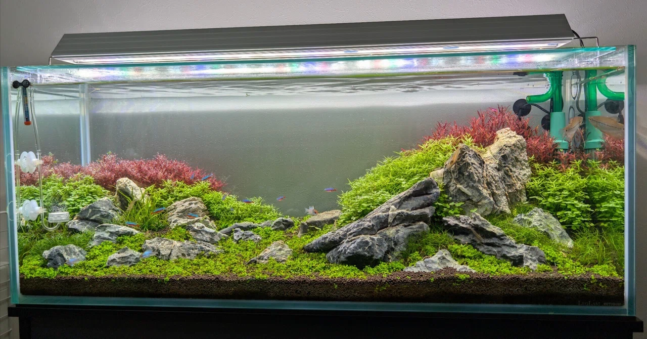 90cm水槽 GEX グラステリア900水槽(90×40×50.5cm) 水槽単体 代