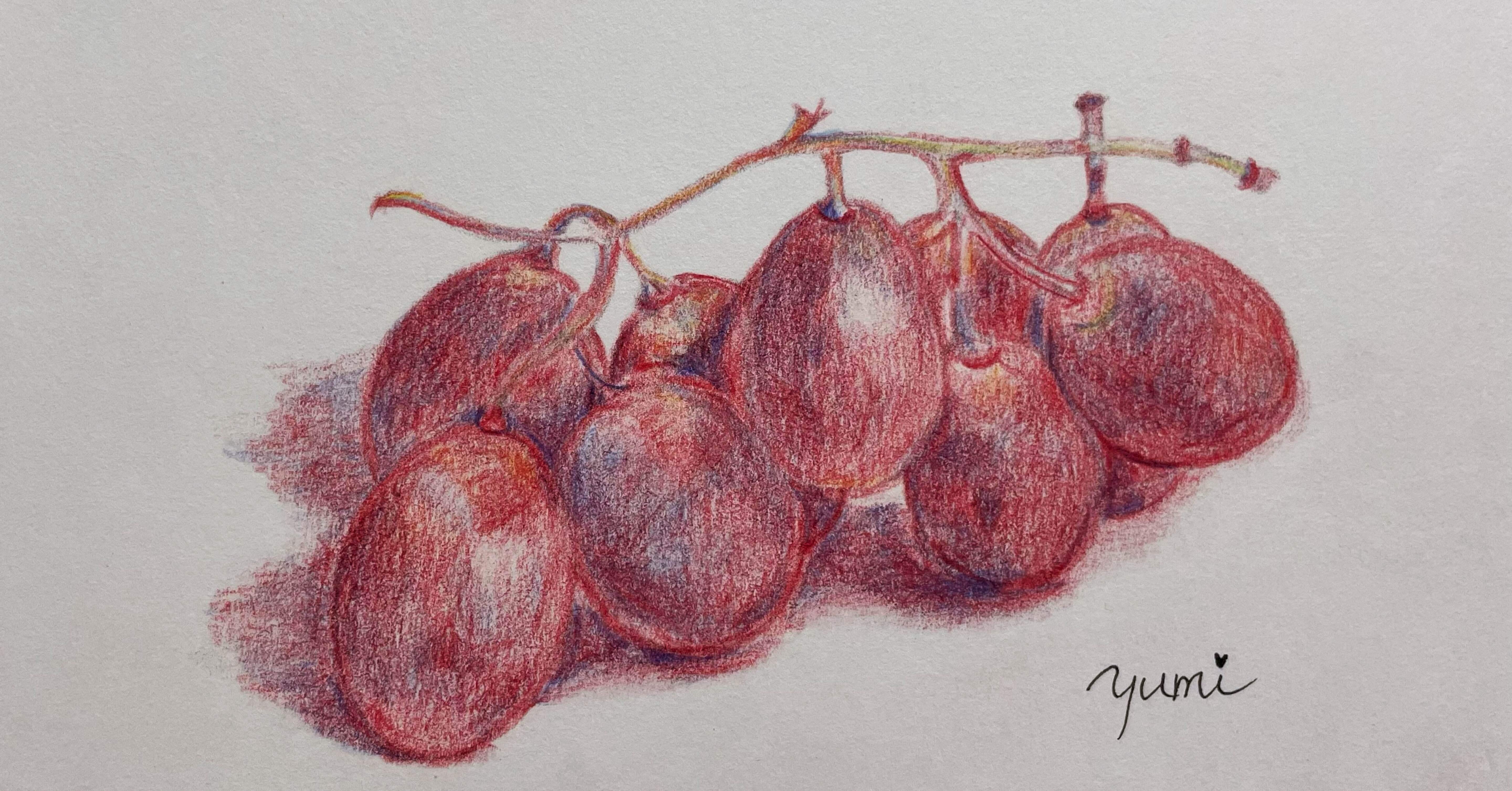 色鉛筆画 人物画 赤フレーム 色鉛筆画教室の記録12月〜2月｜yumi_heart_risa