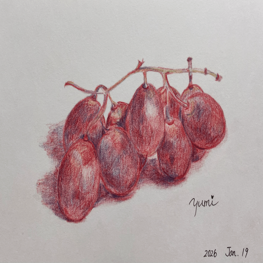 色鉛筆画教室の記録12月〜2月｜yumi_heart_risa