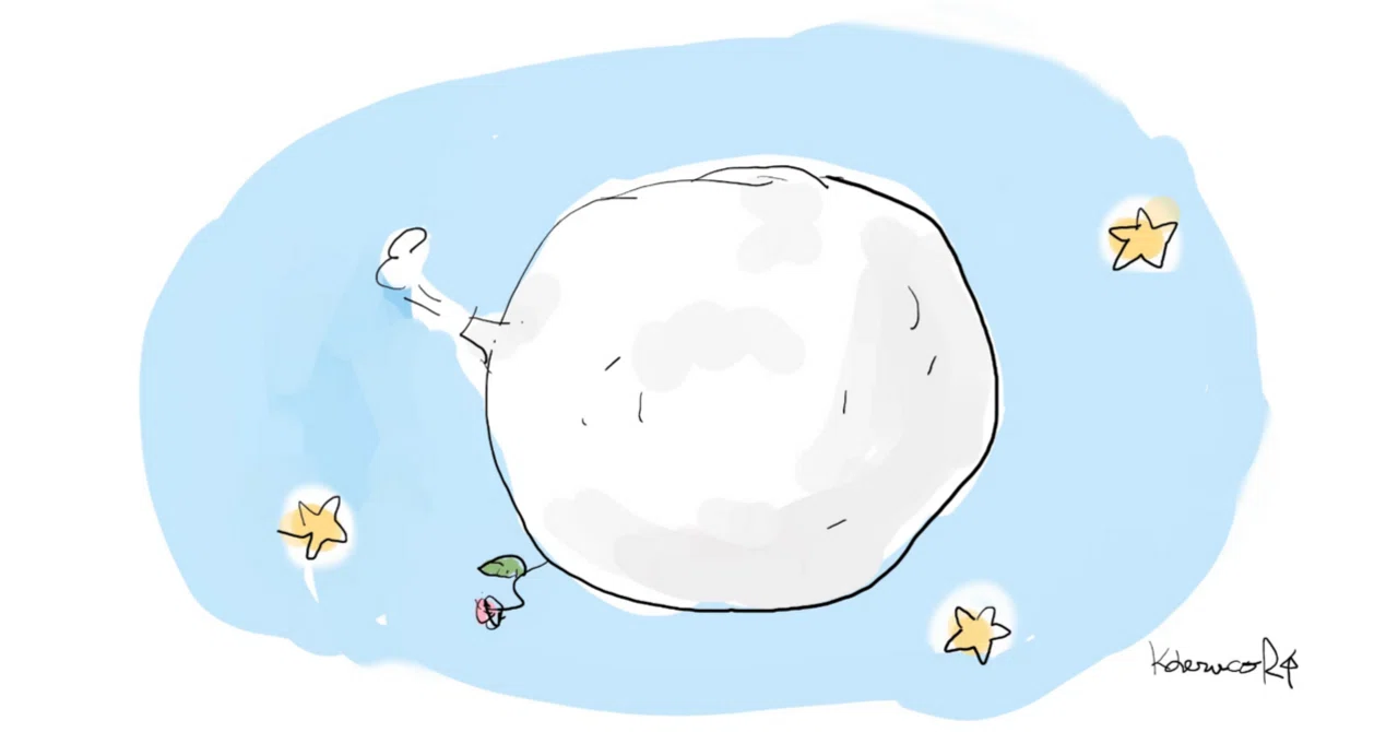 There is a sheep inside the box📦｜里帆 riho