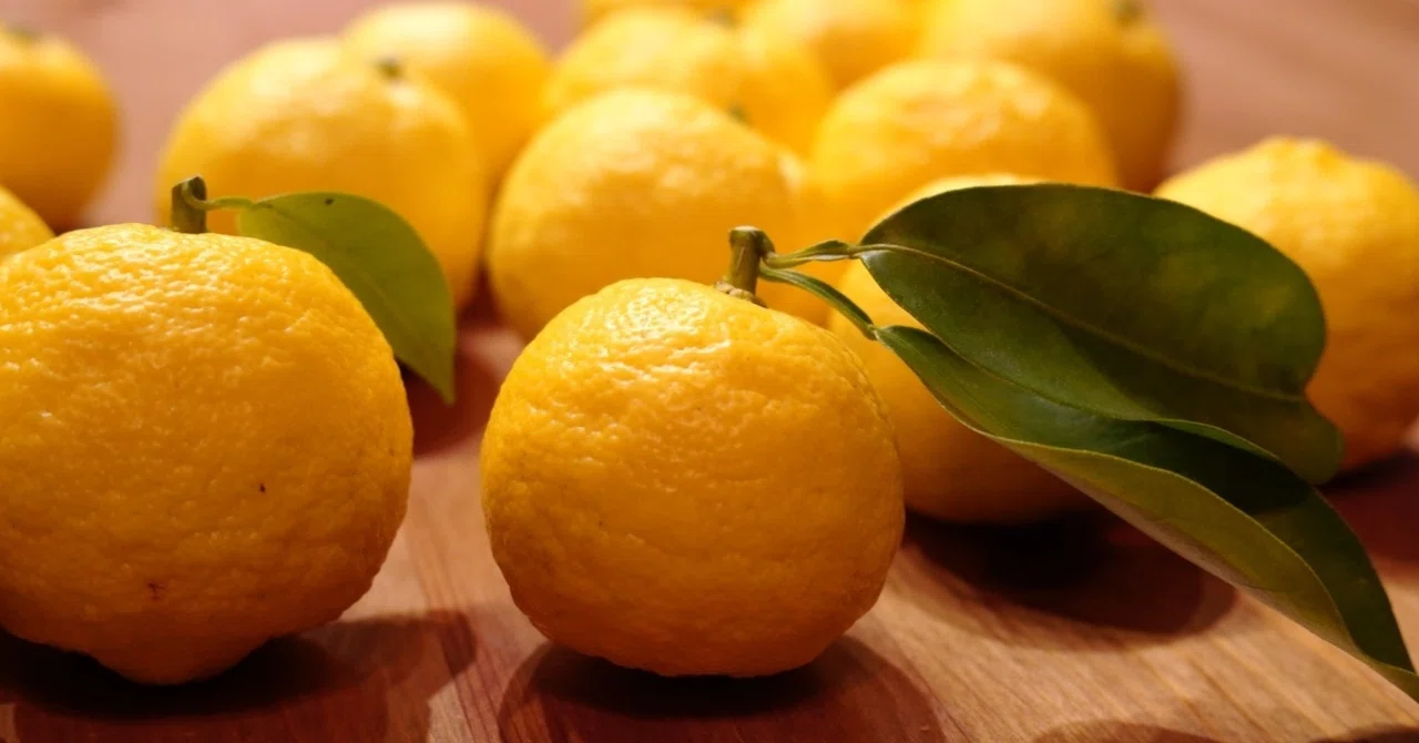Yuzu Citrus Kick: 重たいスープを爽やかにする「柚子」トッピングの魔法｜きよっぴ