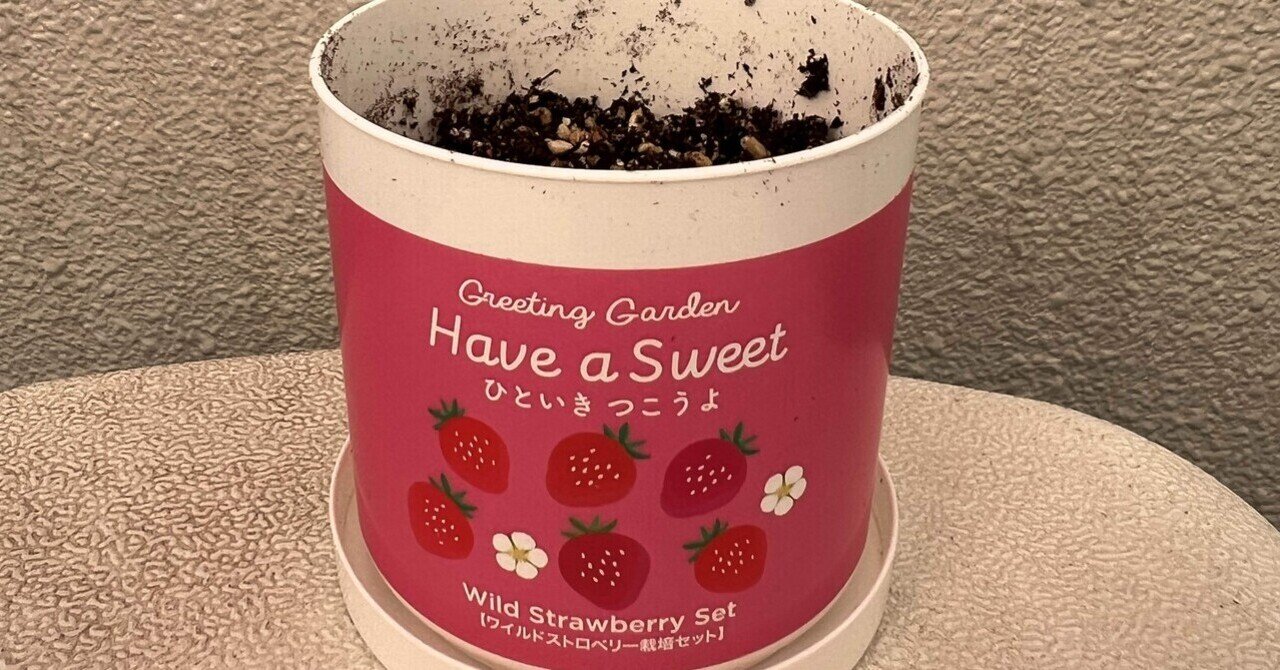 ワイルドストロベリー｜iguana