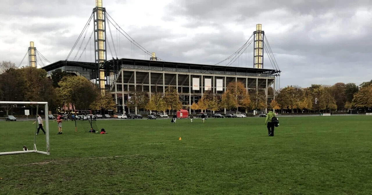 サッカー 観戦 バカ