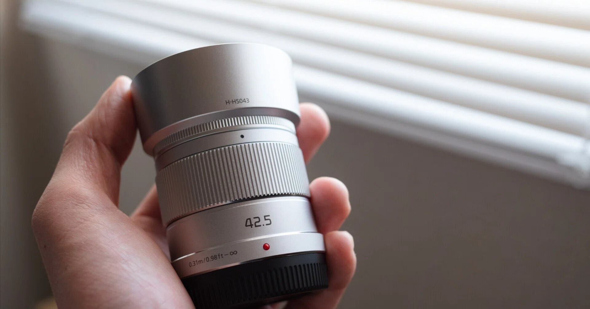 LUMIX G 42.5mm/F1.7 ASPH./POWER O.I.S.｜ラム&ミント