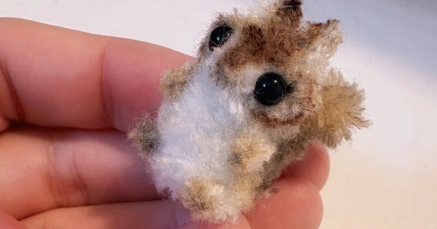 モールリス、改良！｜こつぶ屋ぽぽむん