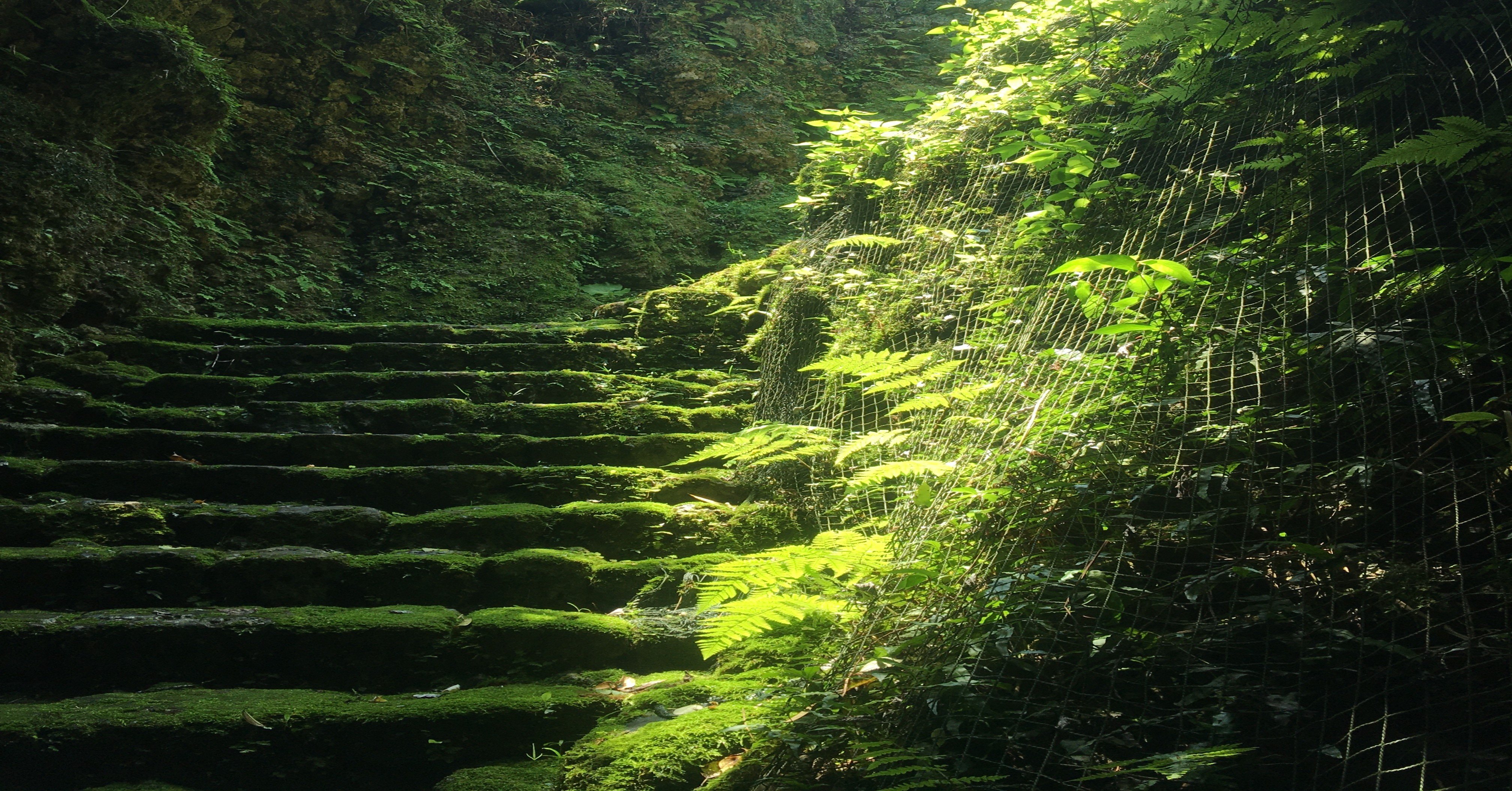 ウートートー 浦島亀太郎 Note