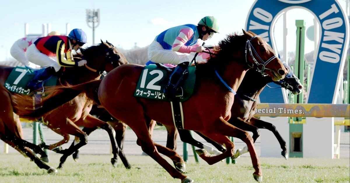 2/8(日) 中央競馬予想｜ギャンブルマン