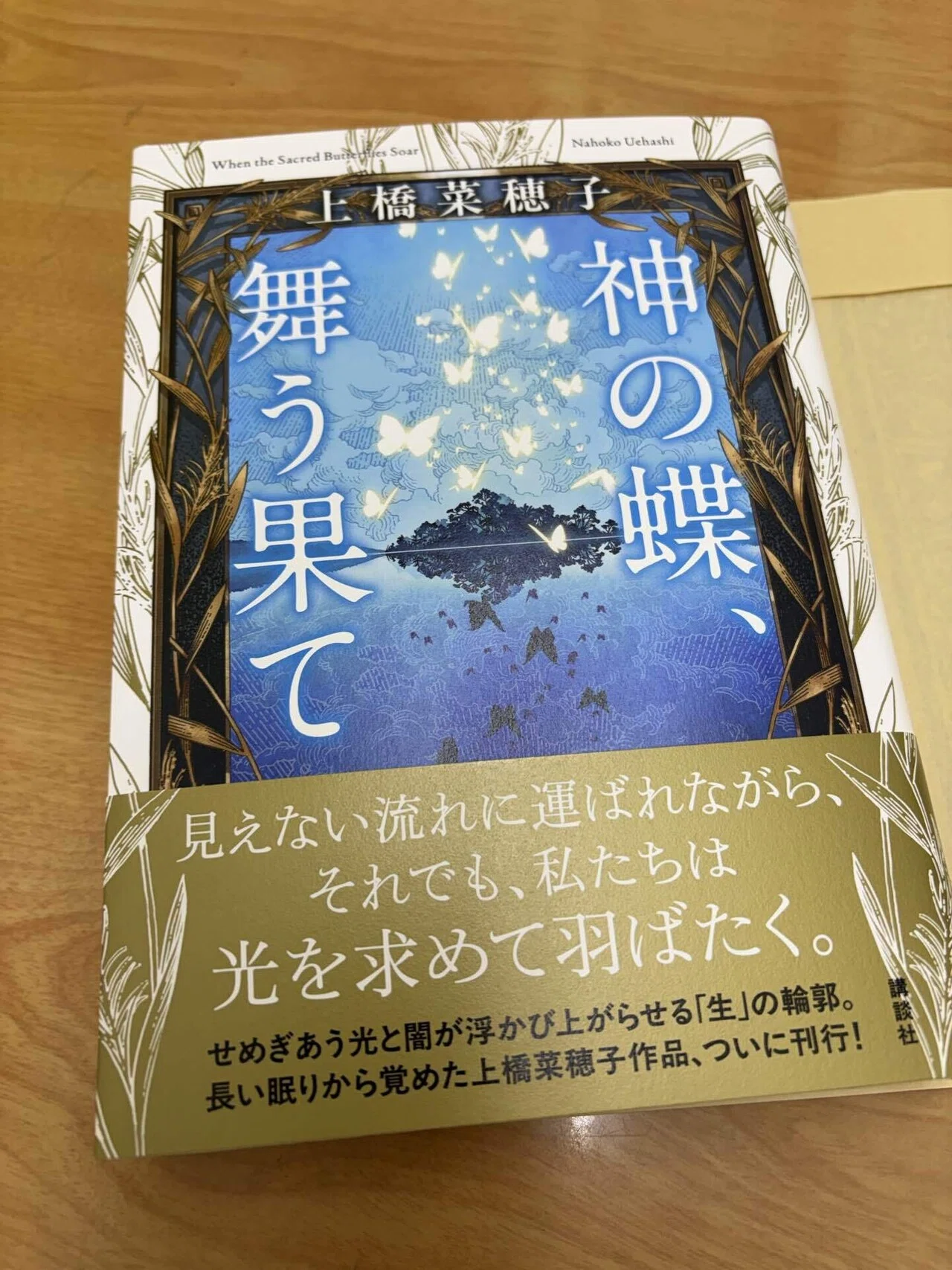 読書感想文｜上橋菜穂子｜『神の蝶、舞う果て』｜稿 累華